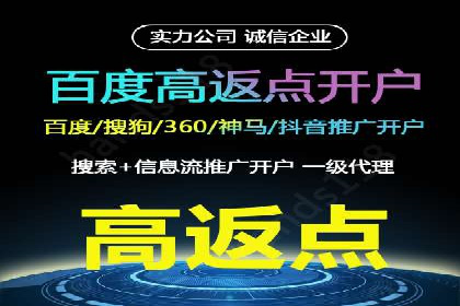 百度竞价代理的投放策略及某行业成功案例